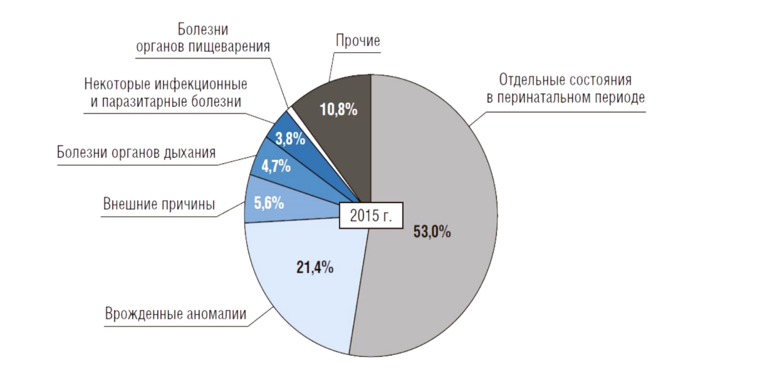 Рисунок 1. Причины младенческой смертности в РФ